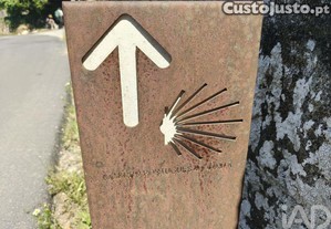 imagem_19