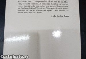 imagem_7
