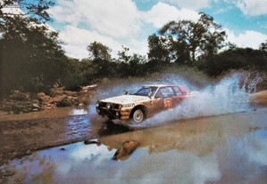 imagem_8