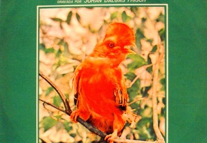 Sinfonia da aves Brasileiras - Vinil LP 33 Rpm - 1979