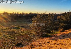 Terreno Rústico - Tunes, Silves | 1.480 M²