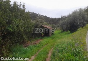 Terreno Rustico