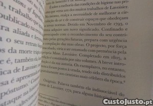 imagem_7