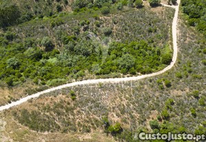 imagem_8