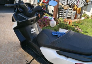 imagem_3