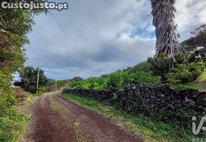 Terreno Agrícola em Piedade