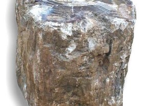 Tronco de madeira fossilizada 100kg - 36x46x32cm