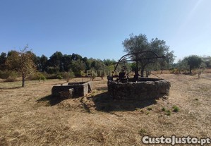 Terreno R�stico com 4625m2 na Lardosa, Castelo Branco
