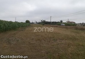 Terreno De Cultura Em Povoeiras, Junto À En 109