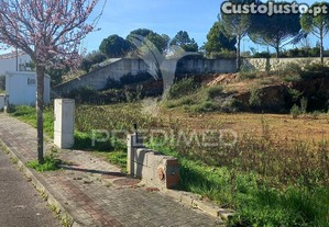 Lote de moradia