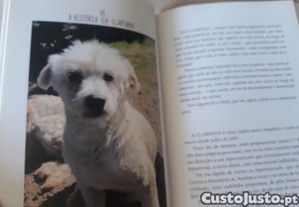 imagem_8