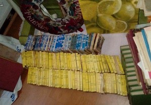 imagem_4