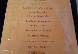 imagem_3