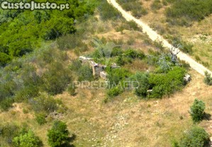imagem_4