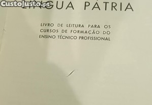 imagem_8