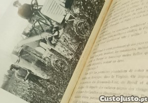 imagem_9