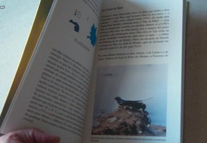 imagem_2