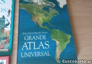 imagem_5
