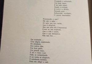 imagem_8
