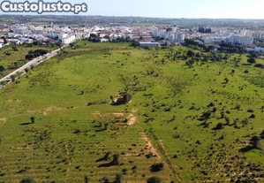 imagem_1