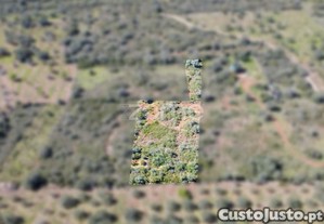 Terreno Rústico Com 2.820 M² Na Zona Da Franqueira