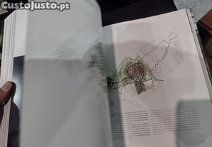 imagem_13