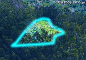imagem_8
