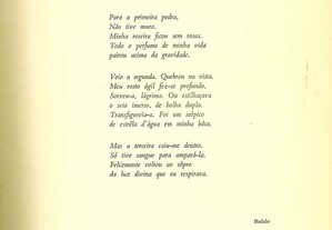 imagem_8