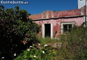 imagem_7