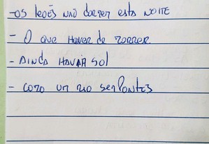 imagem_7