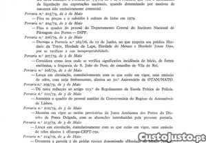 imagem_13