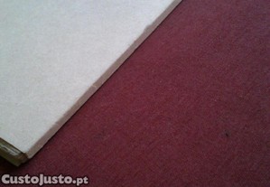 imagem_6