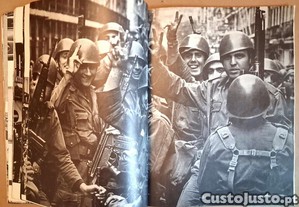 imagem_3