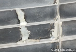 imagem_8