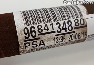 imagem_5