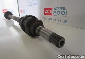 imagem_3