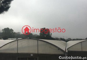 imagem_9
