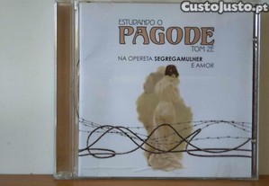 Tom Z�   Estudando O Pagode NOVO