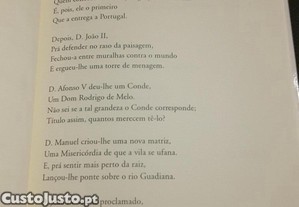 imagem_3