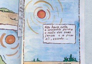 imagem_3