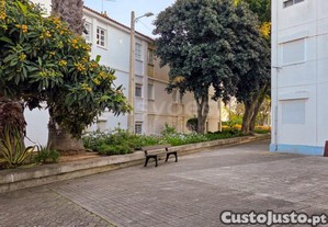imagem_27