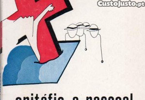 imagem_1