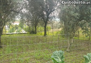 Lote de Terrenos e bens mveis diversos