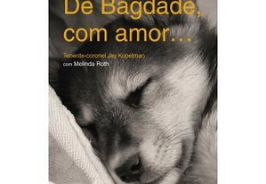 imagem_3