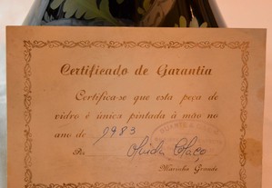 imagem_8