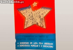 imagem_1
