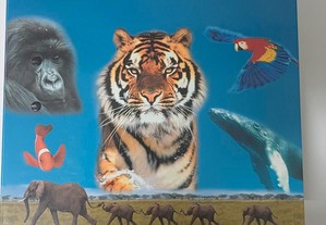 O Fascinante Mundo Animal 1 volume
