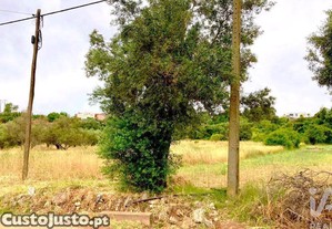 Terreno Agrícola em São Brás de Alportel