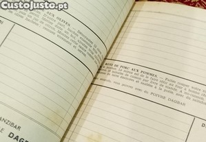 imagem_8