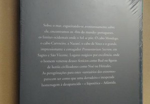 imagem_3